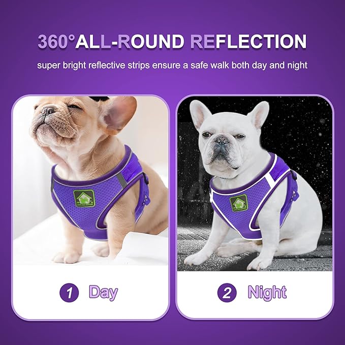FEimaX Dog Harness and Leash Set, No-Pull Breathable Soft Mesh Puppy Vest Harness Reflective Adjustable Pet Harnesses for Small Medium Dogs and Cats - Outdoor Easy Control for Walking (XL, Purple)
