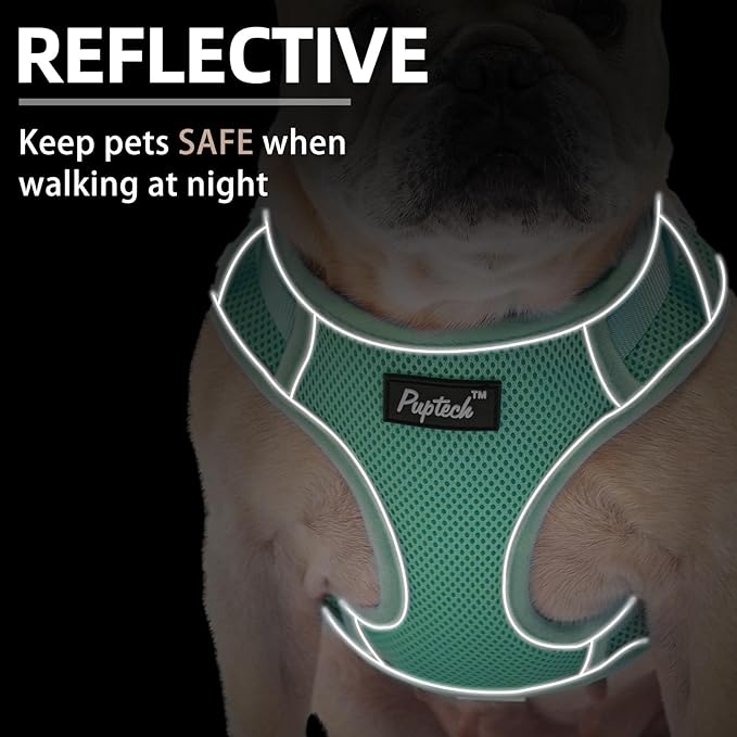 PUPTECK Small Dog Harness and Leash Set, No Pull Adjustable Puppy Cat Harness, Reflective Soft Mesh Pet Vest Medium Sized