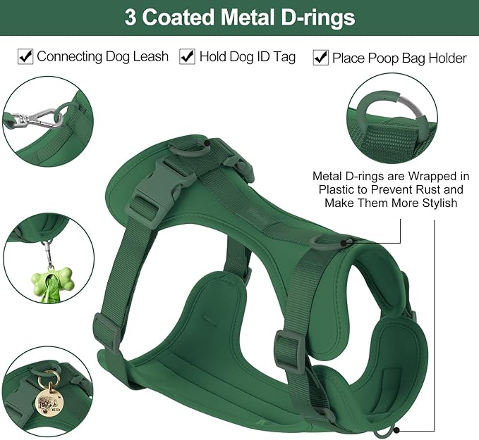 No Pull Lightweight Dog Harness: Adjustable Durable Breathable Mesh Pet Vest Harness with Soft & Comfortable Cushion, for Small Medium Large Dogs (XS, Pine Green)