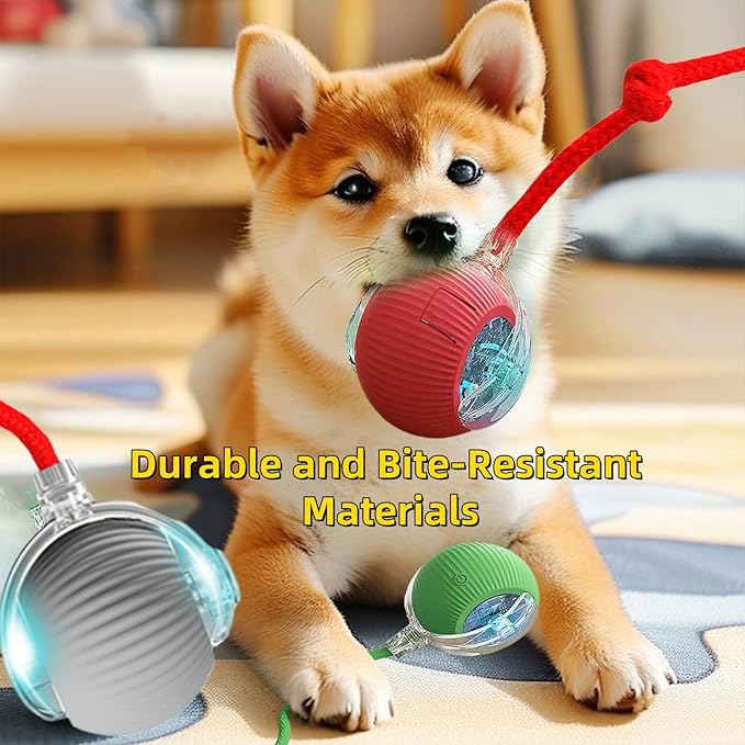 Interactive Dog Cat Toy Ball, Automatic Moving Bouncing Rolling, with Replacement Tail, Pet Smart Chase Ball Rechargeable, Enrichment Toys for Bored Indoor Adult Cats/Dogs (Green)