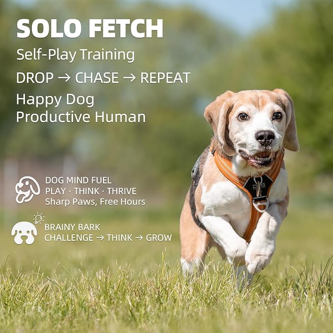 AutoDog Ball Launcher - Large Silent Dog Ball Thrower with Remote Control, 3 Adjustable Distances (40t/60ft/80ft), Rechargable,Includes 6 Durable 2.5" Balls for Medium/Large Dogs (Pink, Large)