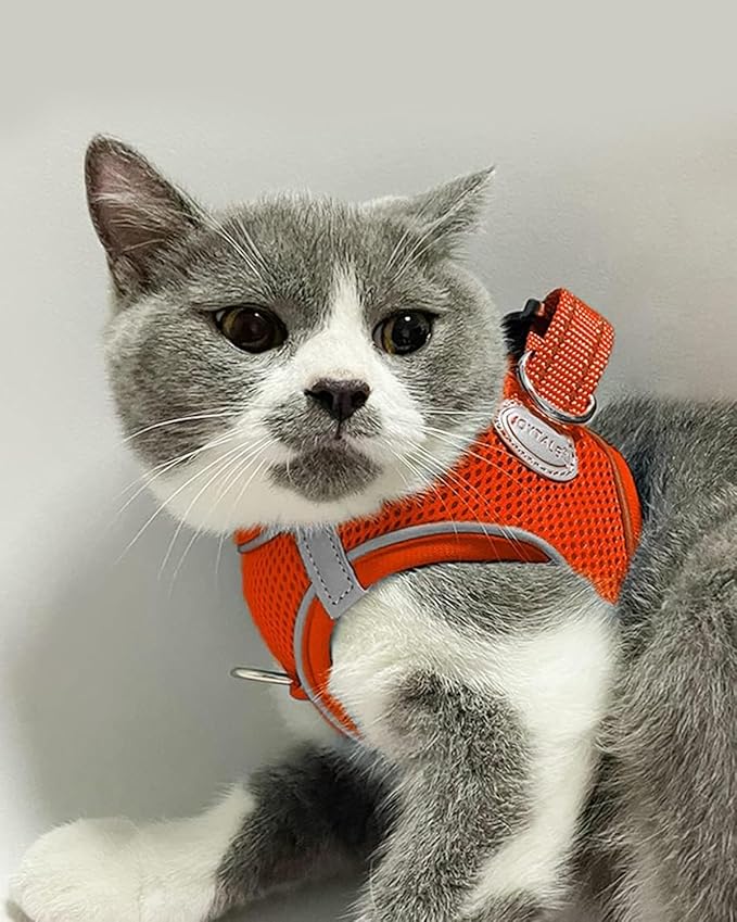 Joytale Small Dog Harness, Breathable Mesh Step-in Vest, Reflective Soft Padded Harnesses for Cats and Puppies Dogs, Orange, XXXS