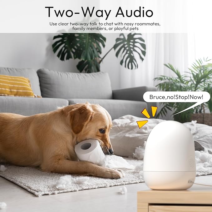 Rraycom Indoor Camera 5G&2.4G WiFi,2K Security Cameras for Home Security,360°Pan & Tilt, Dog/Pet Baby Camera with Motion Tracking& Sound Detection, 2-Way Audio, Night Vision,Siren,Works w/Alexa