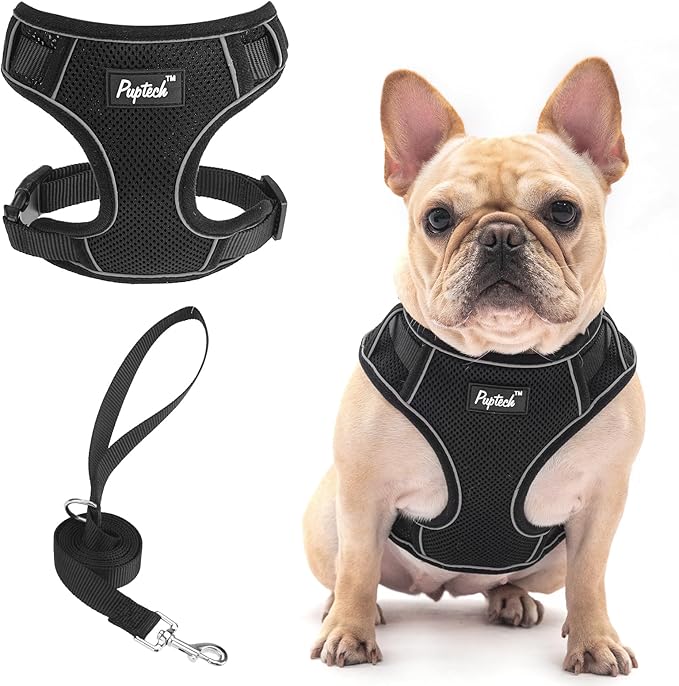 PUPTECK Small Dog Harness and Leash Set, No Pull Adjustable Puppy Cat Harness, Reflective Soft Mesh Pet Vest Medium Sized