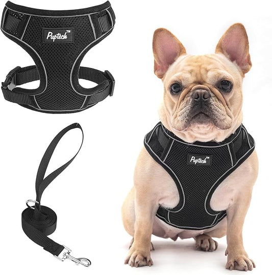PUPTECK Small Dog Harness and Leash Set, No Pull Adjustable Puppy Cat Harness, Reflective Soft Mesh Pet Vest Medium Sized