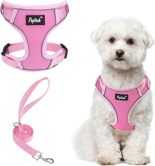 PUPTECK Small Dog Harness and Leash Set, No Pull Adjustable Puppy Cat Harness, Reflective Soft Mesh Pet Vest Small Sized