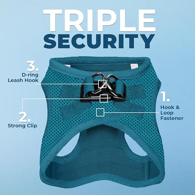 Best Pet Supplies Voyager Step-in Air Harness - All Weather Mesh, Reflective, No Pull Harness for Dogs, Cats - Secure with Hook & Loop Fastener, Buckle, Double D-Rings - Turquoise, XS