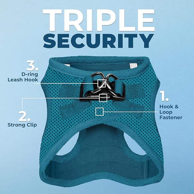 Best Pet Supplies Voyager Step-in Air Harness - All Weather Mesh, Reflective, No Pull Harness for Dogs, Cats - Secure with Hook & Loop Fastener, Buckle, Double D-Rings - Turquoise, L