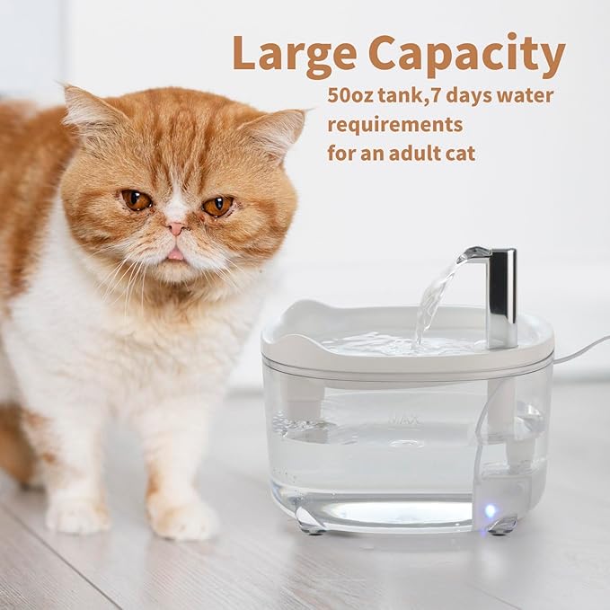 Cat Water Fountain - Automatic 50oz Pet Water Fountain for Cats Kitten Dogs, Pet Water Dispenser for Drinking with Silent Pump (Clear & White)