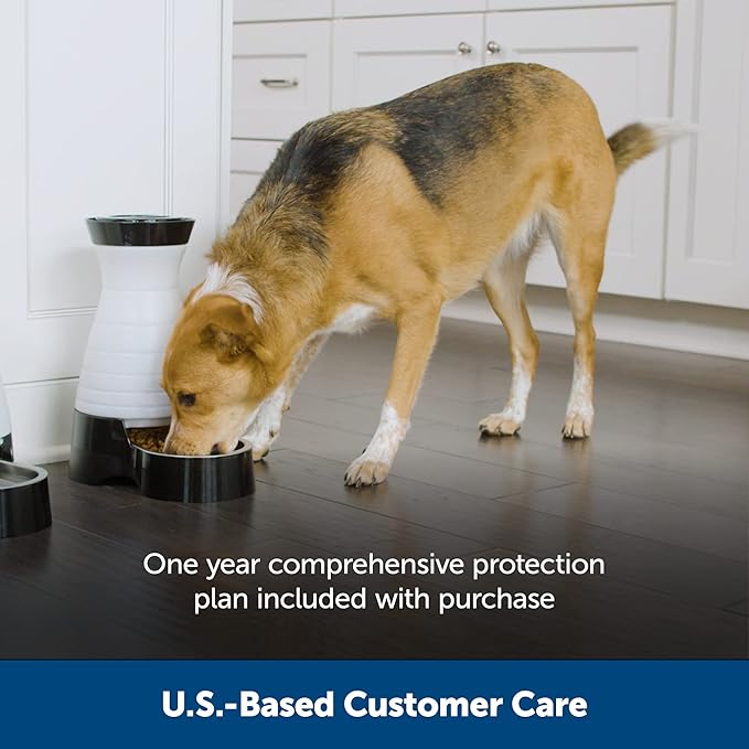 PetSafe Healthy Pet Food Station - Automatic Indoor Gravity Cat & Dog Feeder - Space-Saving Self Feeder - Easy to Clean - Medium - Up to 4 lb Kibble Capacity