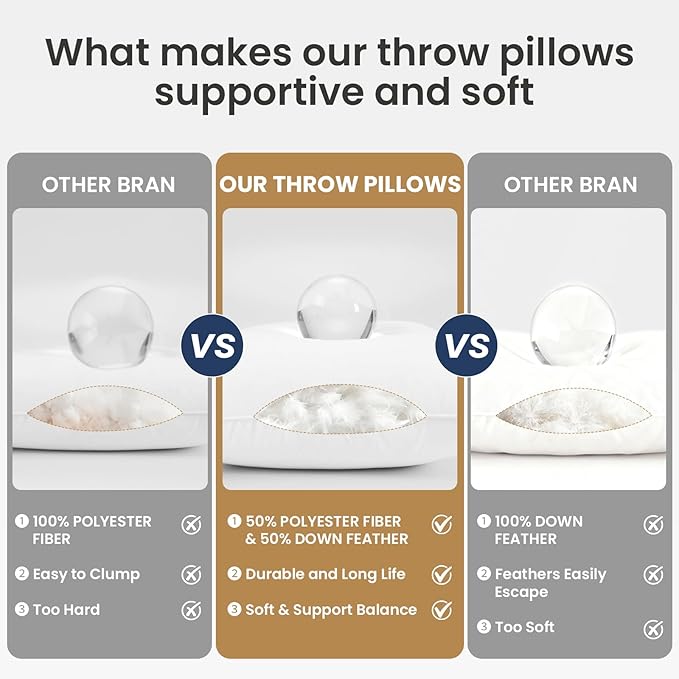 BHZ Euro Throw Pillow Inserts, 24x24 Down Feather Alternative Pillow Inserts Set of 2, Decorative Soft Large Square White Throw Pillows Insert for Couch Bed Dorm Sofa with Cotton Cover