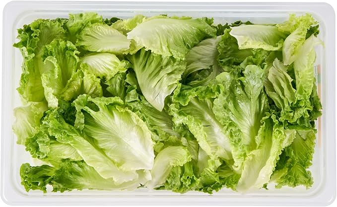 Restaurantware Food Storage Container 1 Pack of 20.7 x 12.6 x 5.9 Inches Plastic Stackable Storage Box White Reusable Label Container Dishwasher Safe For Restaurants And Kitchens