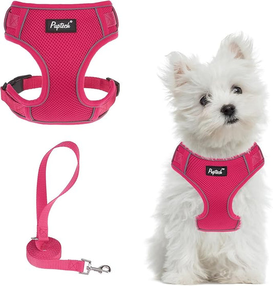 PUPTECK Small Dog Harness and Leash Set, No Pull Adjustable Puppy Cat Harness, Reflective Soft Mesh Pet Vest Small Sized