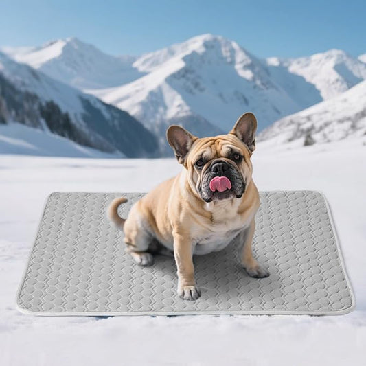 Soulbond Dog Cooling Mat - 29"x40" Washable Cooling Pad for Large Dogs & Cats, QMAX>0.3, Anti-Slip Bottom, Portable Summer Cool Pet Bed Pad for Outdoor/Indoor/Cars/Travel Use, Dark Gray