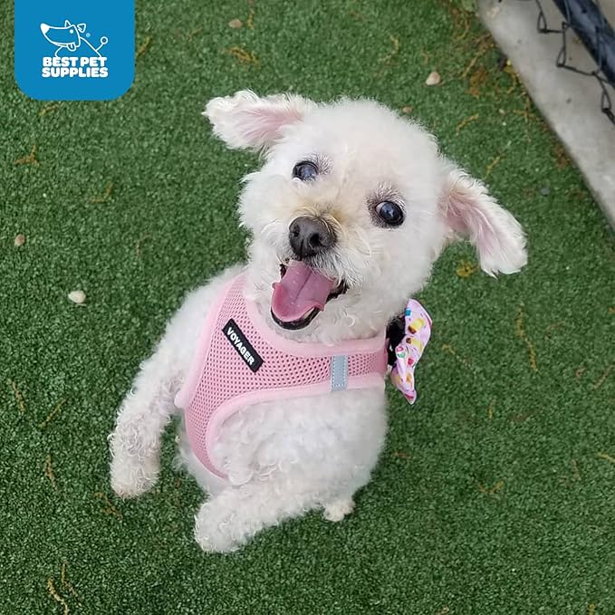 Best Pet Supplies Voyager Step-in Air Harness - All Weather Mesh, Reflective, No Pull Harness for Dogs, Cats - Secure with Hook & Loop Fastener, Buckle, Double D-Rings - Pink, M