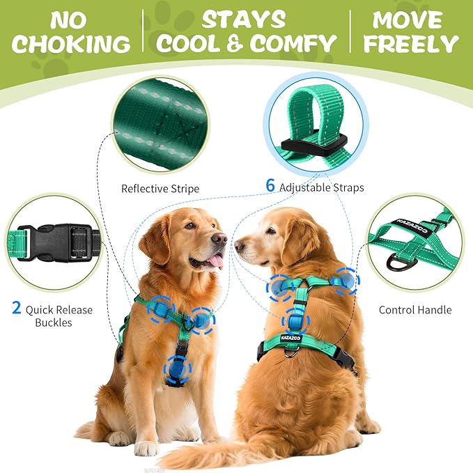 No-Pull Harness,Y-Shaped Design,Buckle-Neck Balance Harness with Reflective Stitching, Ideal for Dog Training and Night Walking, Padded Handle, Durable High-Tensile Nylon-Aqua Green-M