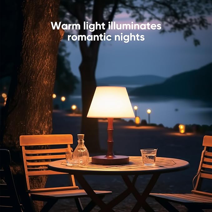 Outdoor Battery Powered Waterproof Desk lamp, Office and Bedroom Desk lamp, Bathroom LED lamp, Courtyard Camping Restaurant LED Night lamp, 4000mAh Rechargeable Battery Driven lamp (Brown)