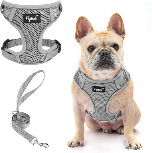 PUPTECK Small Dog Harness and Leash Set, No Pull Adjustable Puppy Cat Harness, Reflective Soft Mesh Pet Vest Medium Sized
