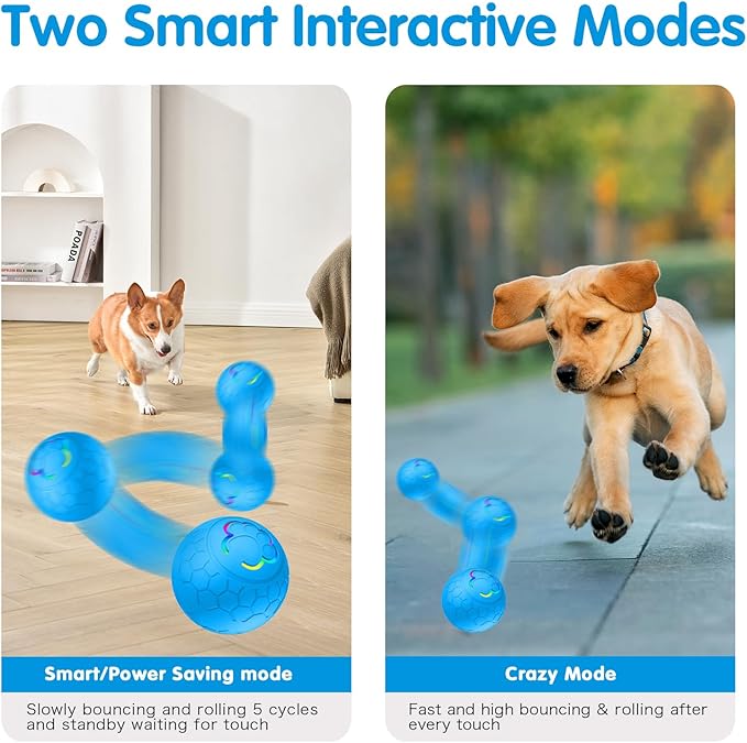 Interactive Dog Ball - 2.2" Durable Motion Activated Pet Bounce Ball for Puppy/Small/Medium Dogs, USB Rechargeable