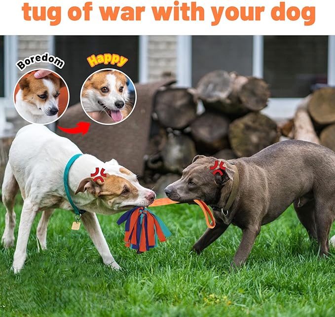 wodoca Interactive Dog Toys, Dog Rope Toys for Aggressive Chewers -Tough Rope Tug of War Dog Toys, Dog Tug Toy for Boredom for Small Medium Puppy Interacting Games (Orange)