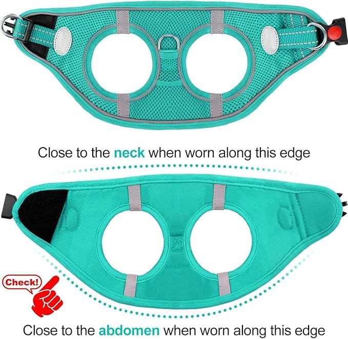 Joytale Small Dog Harness, Breathable Mesh Step-in Vest, Reflective Soft Padded Harnesses for Cats, Puppies and Extra Small Dogs, Teal, XXS