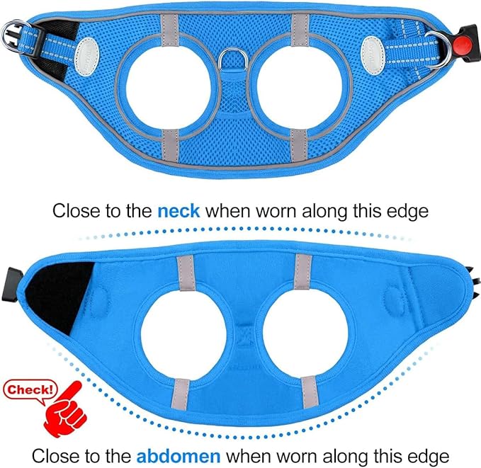 Joytale Small Dog Harness, Breathable Mesh Step-in Vest, Reflective Soft Padded Harnesses for Small and Medium Dogs, Sky Blue, L