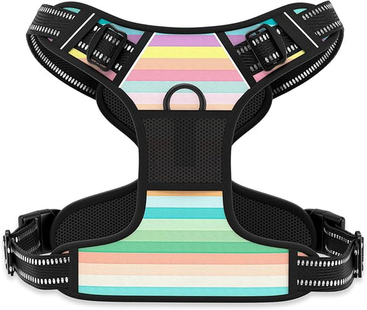 Rnivvi No Pull Dog Harness, Cute Reflective Small Sized Puppy Kitten Harness, Adjustable Soft Padded Vest for Small Dogs, Cats, Heavy Duty Pet Vest with Easy Control Handle for Walking, Watercolor