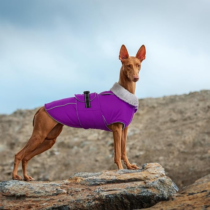 Lelepet Warm Dog Coat Reflective Fleece Vest Waterproof Dog Jacket with Adjustable Buckle Hook & Loop Windproof Cold Weather Coats for Small Medium Large Dogs, Purple, XL