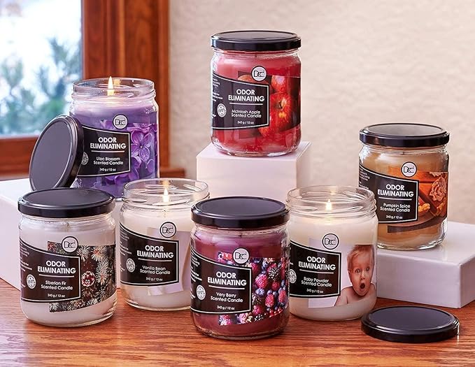 Vanilla Bean Odor Eliminating Highly Fragranced Candle - Eliminates 95% of Pet, Smoke, Food, and Other Smells Quickly - Up to 80 Hour Burn time - 12 Ounce Premium Soy Blend