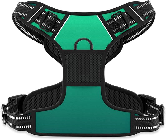 Rnivvi No Pull Dog Harness, Cute Reflective Large Sized Puppy Harness, Adjustable Soft Padded Vest for Large Dogs, Heavy Duty Pet Vest with Easy Control Handle for Walking Training, Gradient Green