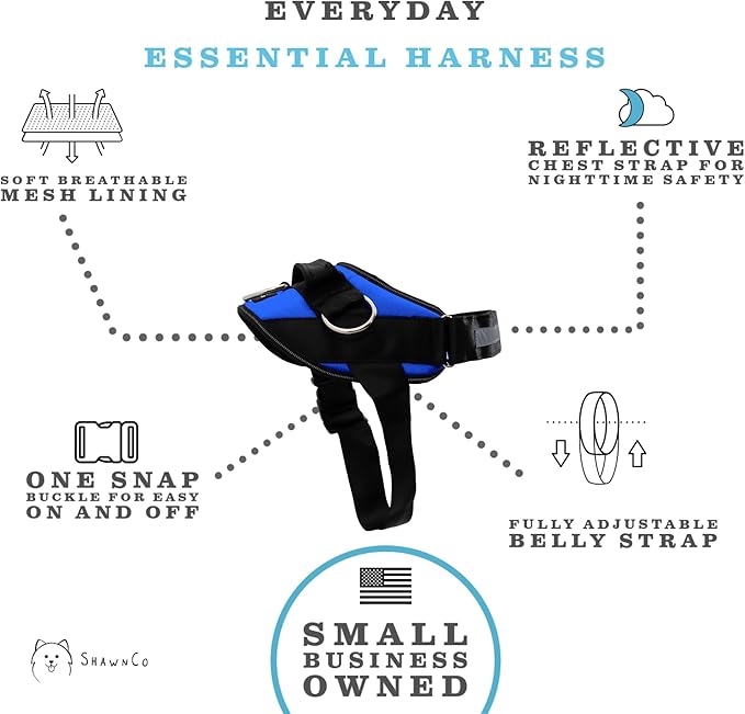 ShawnCo Essential Dog Harness, No-Pull Pet Vest with 3 Leash Clips, No Choke, Reflective, Adjustable and Padded, for Easy Walking and Training for Small, Medium and Large Dogs (Electric Blue,S)