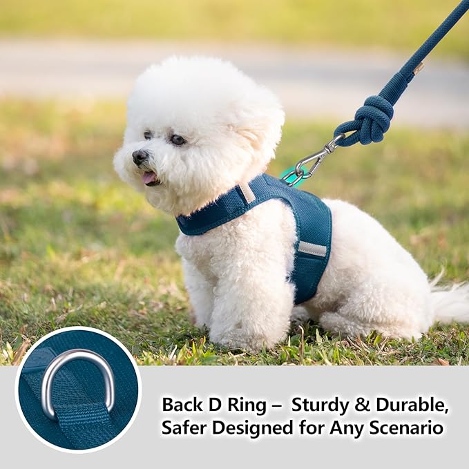 Dog Harness for Puppy – Adjustable Reflective Easy Put On Soft Mesh Vest for Small Dogs with 2 Patches (Prussian Blue,XS)