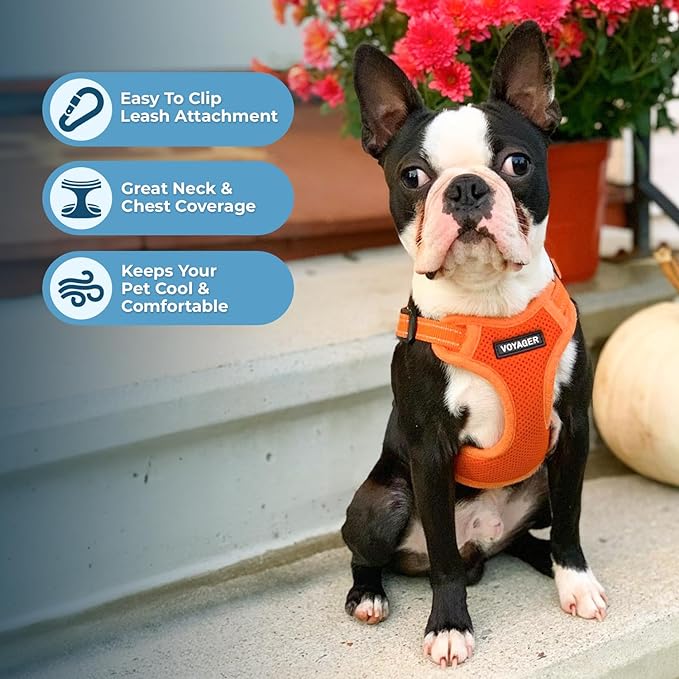 Best Pet Supplies Voyager Adjustable Dog Harness Leash Set with Reflective Stripes for Walking Heavy-Duty Full Body No Pull Vest with Leash D-Ring, Breathable All-Weather - Orange, XL
