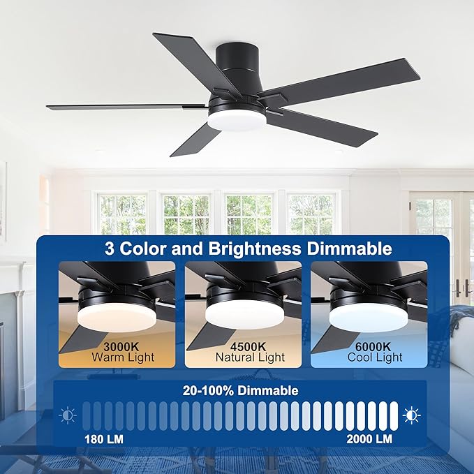 Rayqueen 52 Inch Ceiling Fans with Lights and Remote,Flush Mount Black Ceiling Fan,6 Speed Reversible DC Motor,3CCT Dimmable LED-Low Profile Design for Bedroom, Living room & Covered Outdoor