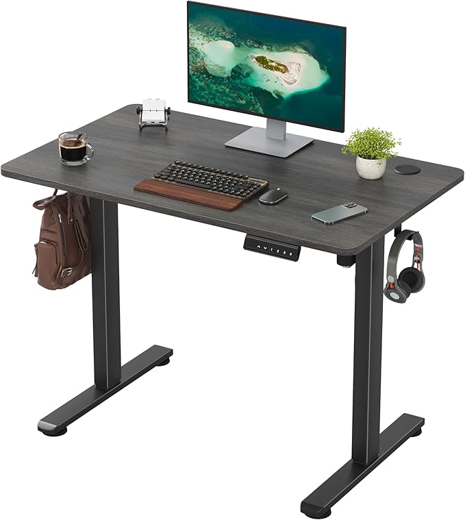 Casaphoria 40 x 24 inches Inch Electric Standing Desk, Sit to Stand Desk with Memory Height Adjustment, Home Office Computer Desk for Writing and Games, Grey