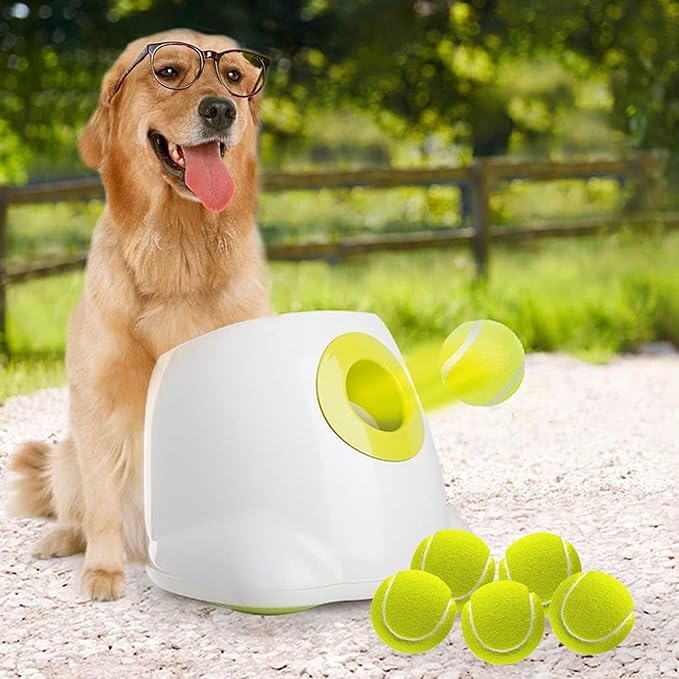 AFP Automatic Ball Launcher for Dogs Interactive Puppy Pet Ball Outdoor Thrower Fetch Machine, 6 Balls Included (2.5 inch) for Medium to Large Dogs, Rechargeable Battery