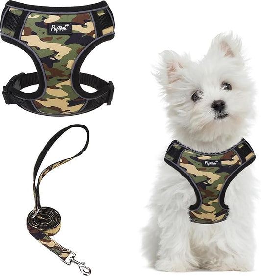 PUPTECK Small Dog Harness and Leash Set, No Pull Adjustable Puppy Cat Harness, Reflective Soft Mesh Pet Vest Small Sized