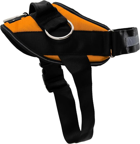 ShawnCo Essential Dog Harness, No-Pull Pet Vest with 3 Leash Clips, No Choke, Reflective, Adjustable and Padded, for Easy Walking and Training for Small, Medium and Large Dogs (Sunset Orange, XL)