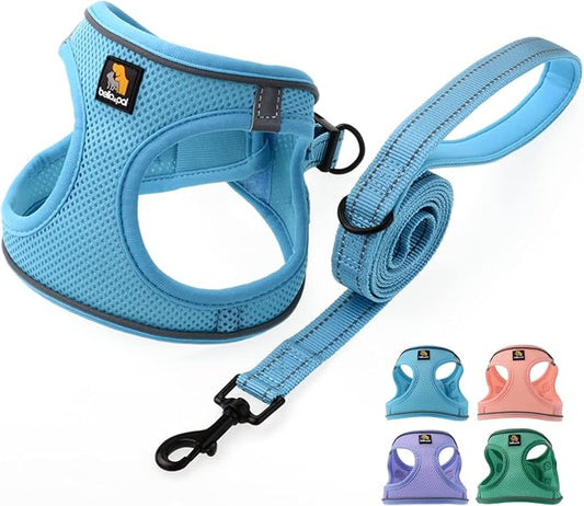 BELLA & PAL Step in Vest Harness for Small and Medium Dogs, No Pull Small Dog Harness with Leash Set, Comfortable Air Mesh Dog Vest Harness with Reflective Strip (Sky Blue, L)