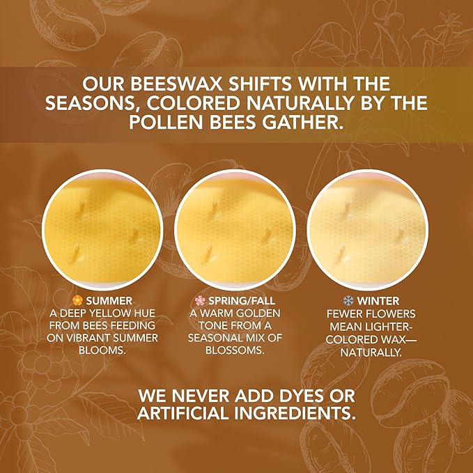 Fresh Robusta Coffee – Pure Beeswax Candle for Men and Women – Non-Toxic Scented Candle for Focus, Clarity & Mood Boosting – 90+ Hour Long Burn – Inspired by Vietnamese Coffee