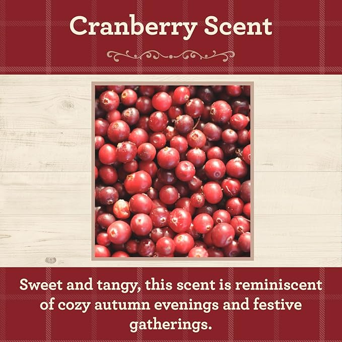 Our Own Candle Company, Cranberry Scented Mason Jar Candle, 100 Hour Burn Time, 13 Ounces