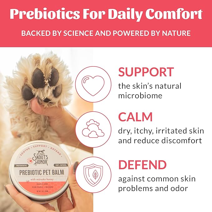 SKOUT'S HONOR Prebiotic Pet Balm - 100% Natural and Made w/Manuka Honey to Promote Healing of Your pet's paw Pads and Nose, Soothes Dry, Itchy Paws and Noses - Safe for Cats and Dogs, 2oz, 4-Pack