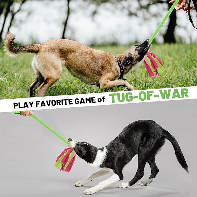 wodoca Interactive Dog Toys, Dog Rope Toys for Aggressive Chewers -Tough Rope Tug of War Dog Toys, Dog Tug Toy for Boredom for Small Medium Puppy Interacting Games (Green)