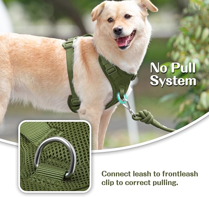 No Pull Dog Harness for Small Medium Large Dogs - Adjustable Two-Layer Mesh Dog Vest with Dual Clip, Escape Proof, Quick Release, Lightweight Breathable Mesh for Walking Hiking (Misty Green,S)