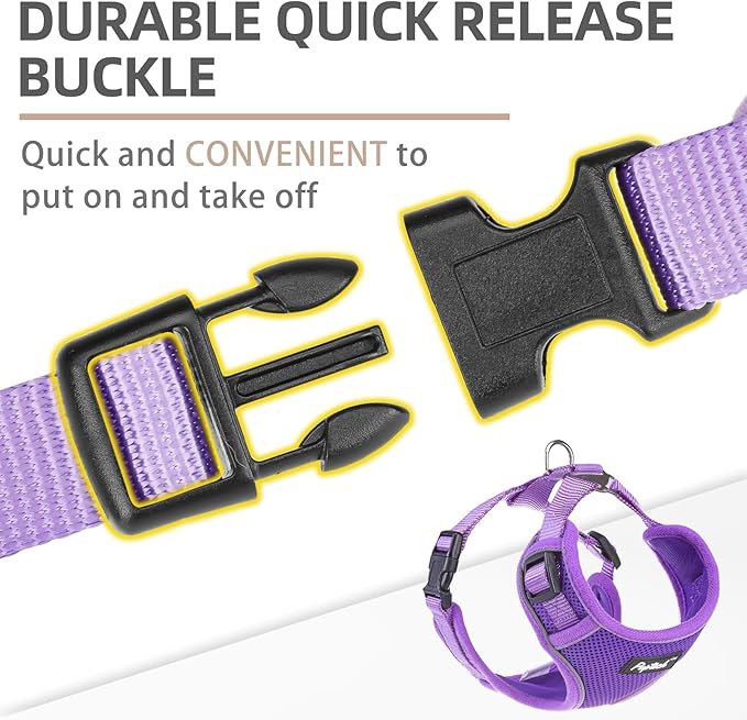 PUPTECK Small Dog Harness and Leash Set, No Pull Adjustable Puppy Cat Harness, Reflective Soft Mesh Pet Vest Small Sized