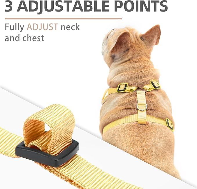 PUPTECK Small Dog Harness and Leash Set, No Pull Adjustable Puppy Cat Harness, Reflective Soft Mesh Pet Vest Small Sized