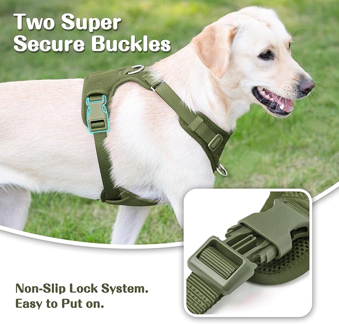 No Pull Dog Harness for Small Medium Large Dogs - Adjustable Two-Layer Mesh Dog Vest with Dual Clip, Escape Proof, Quick Release, Lightweight Breathable Mesh for Walking Hiking (Misty Green,S)