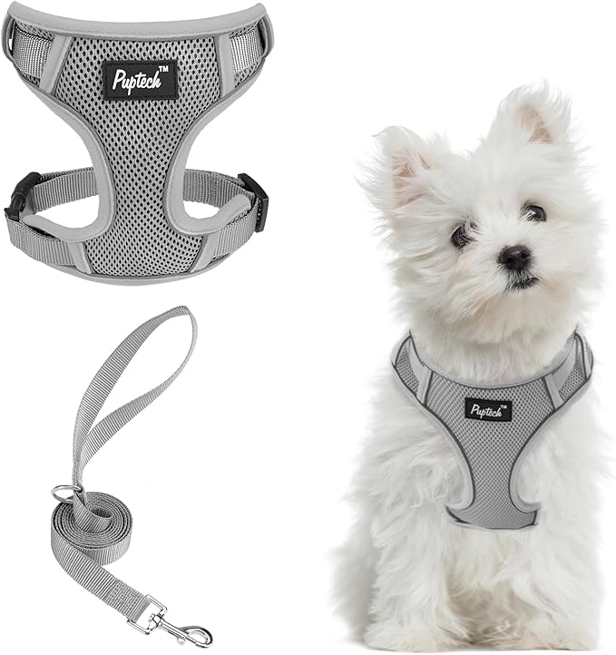 PUPTECK Small Dog Harness and Leash Set, No Pull Adjustable Puppy Cat Harness, Reflective Soft Mesh Pet Vest Small Sized