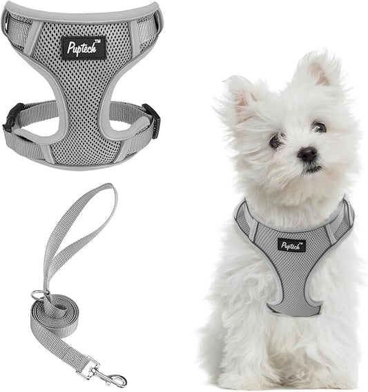 PUPTECK Small Dog Harness and Leash Set, No Pull Adjustable Puppy Cat Harness, Reflective Soft Mesh Pet Vest Small Sized
