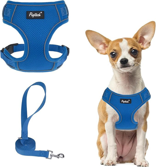 PUPTECK Small Dog Harness and Leash Set, No Pull Adjustable Puppy Cat Harness, Reflective Soft Mesh Pet Vest Small Sized